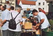 bild_16.jpg